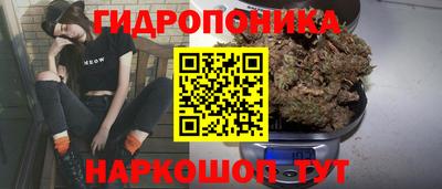 стаф Донской