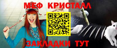 стаф Донской